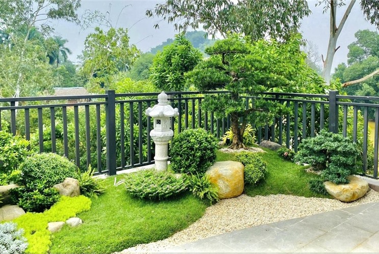 20+ thiết kế tiểu cảnh sân vườn trước nhà đẹp, thịnh hành 20+ thiết kế tiểu cảnh sân vườn trước nhà đẹp, thịnh hành